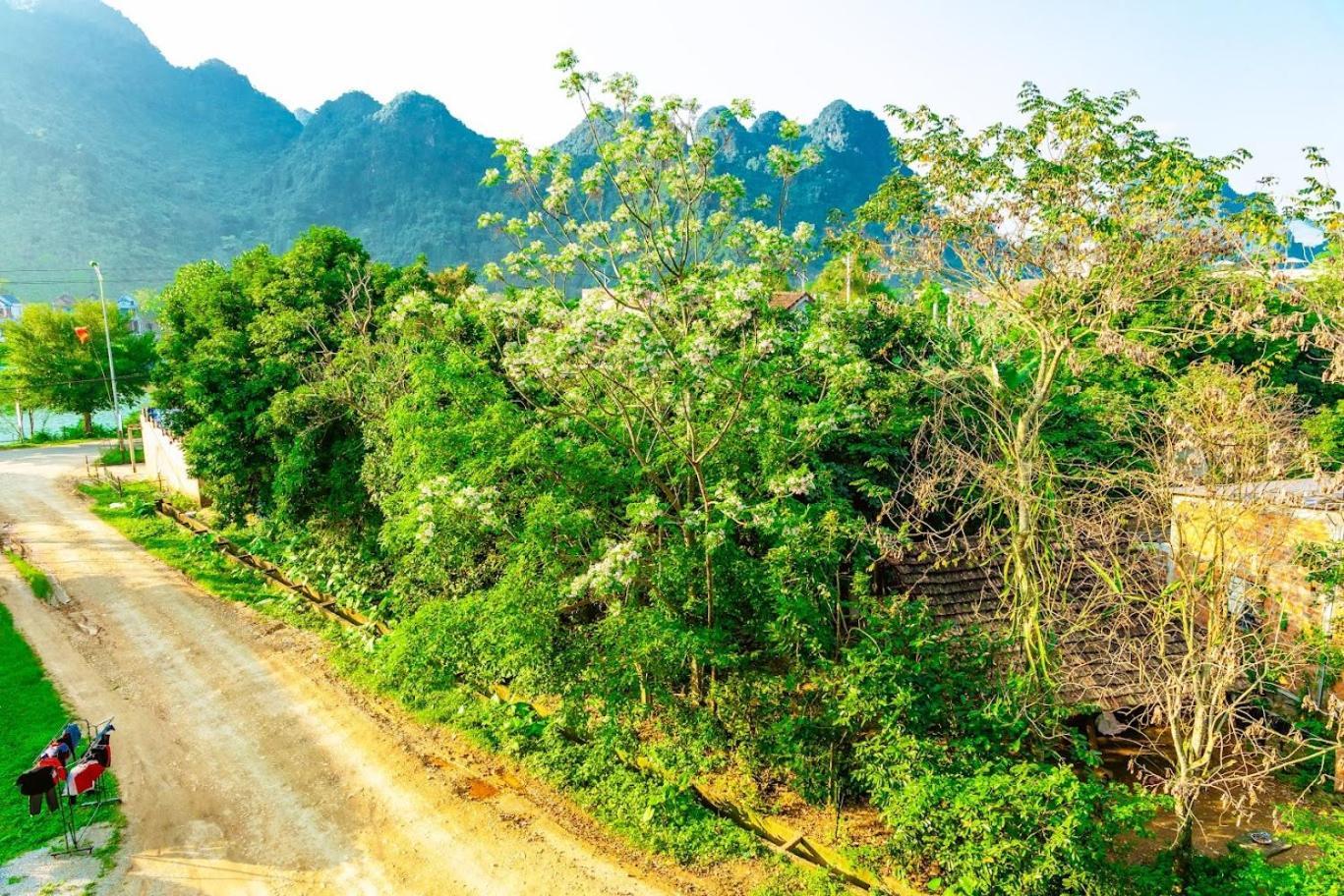 Phong Nha Cherish House Apartamento Exterior foto